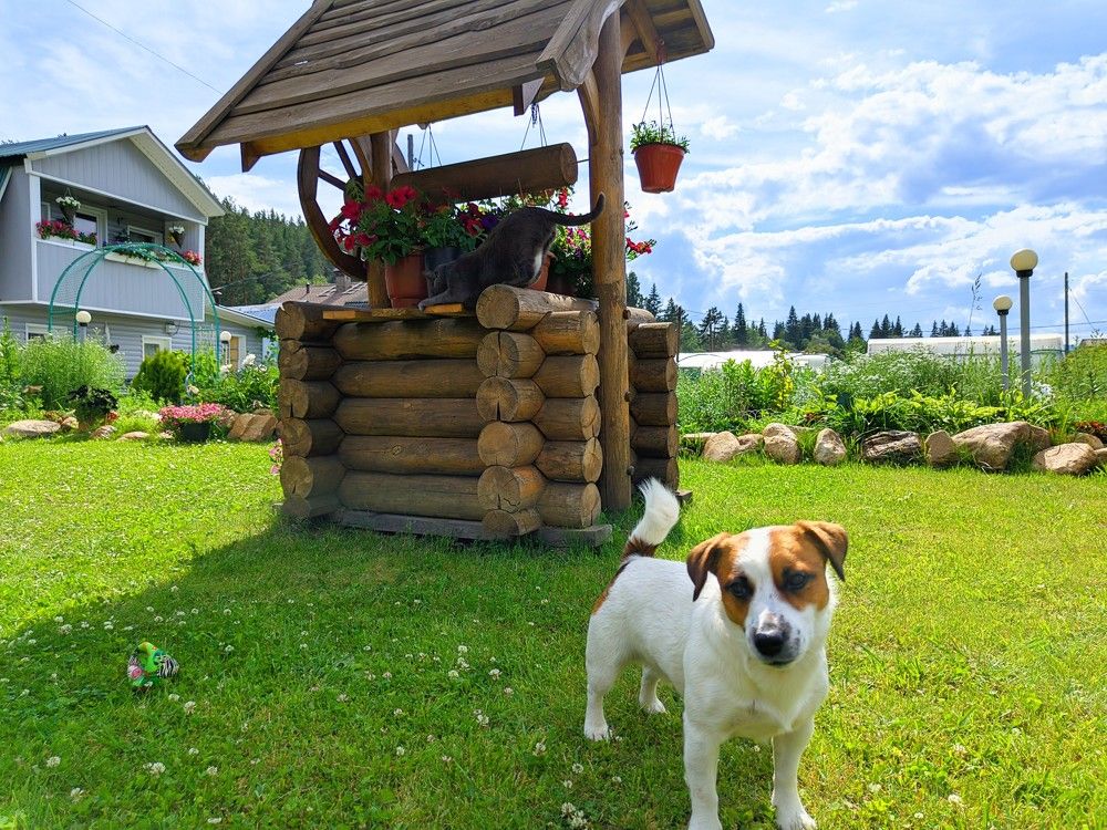 Photograph by Артем Сивцов