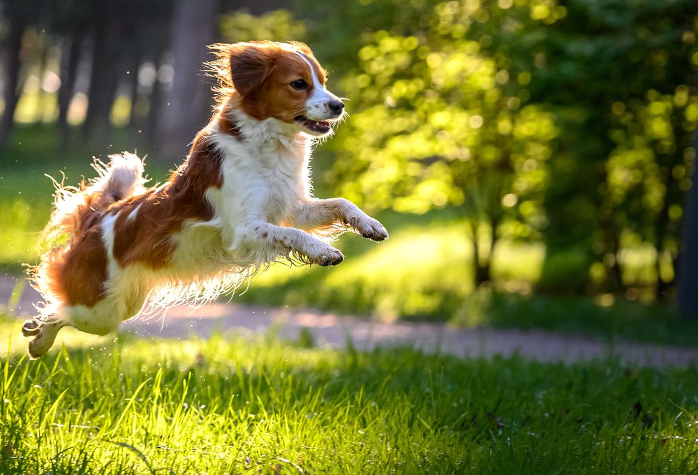 Photograph by Мария Новоселецкая