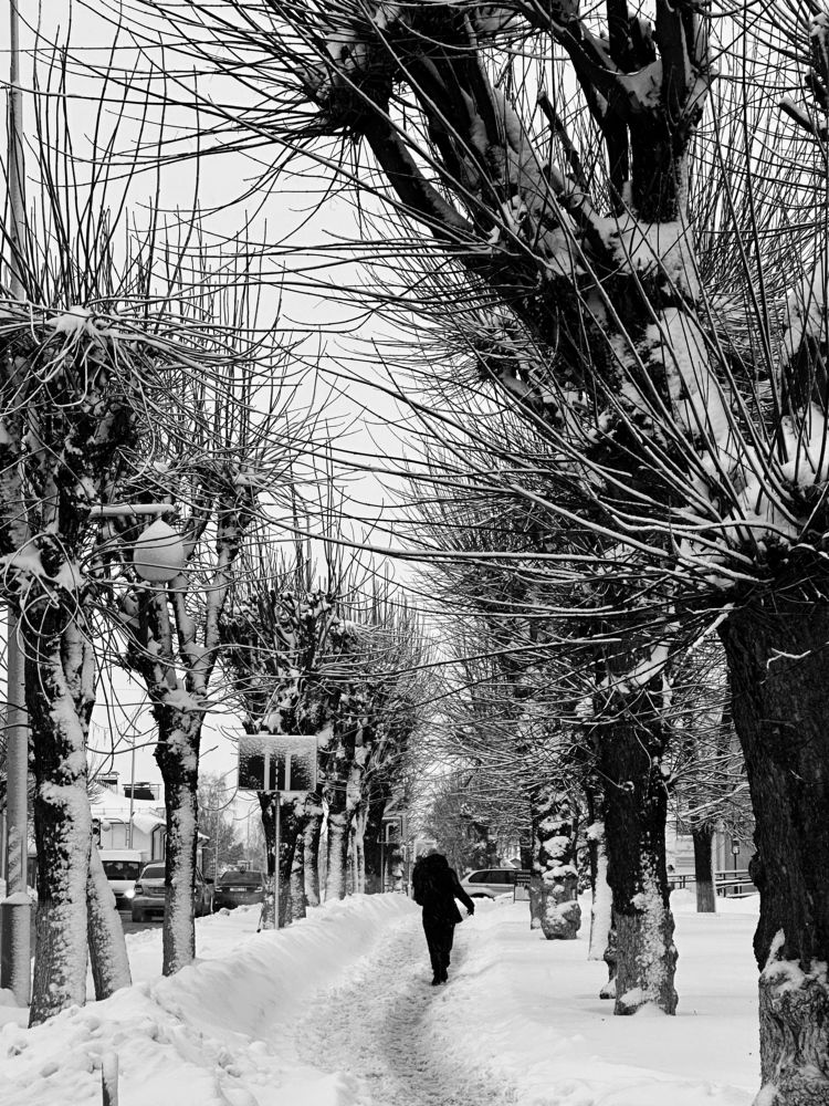 Photograph by Алеся Цеван