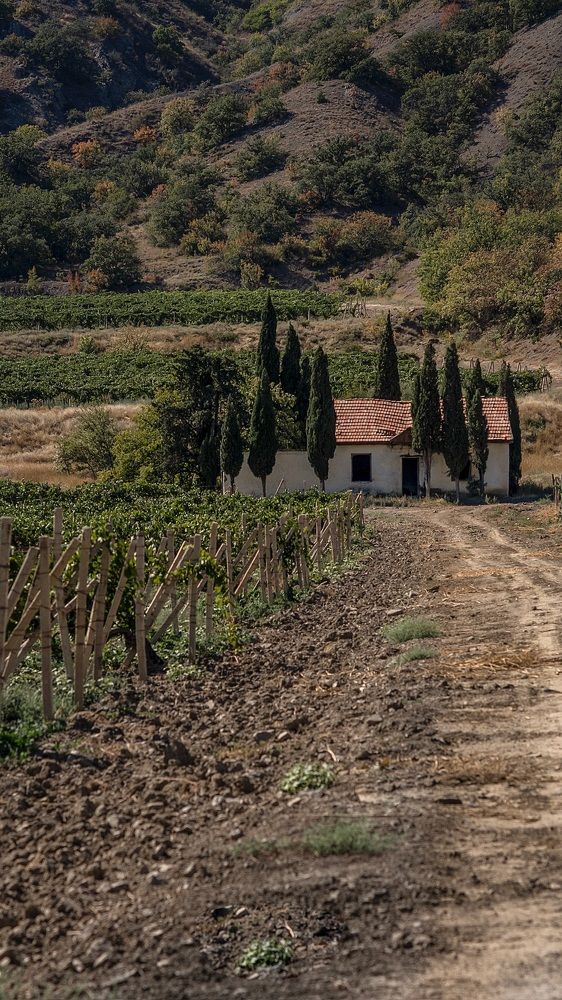 Photograph by Юлия Рубцова