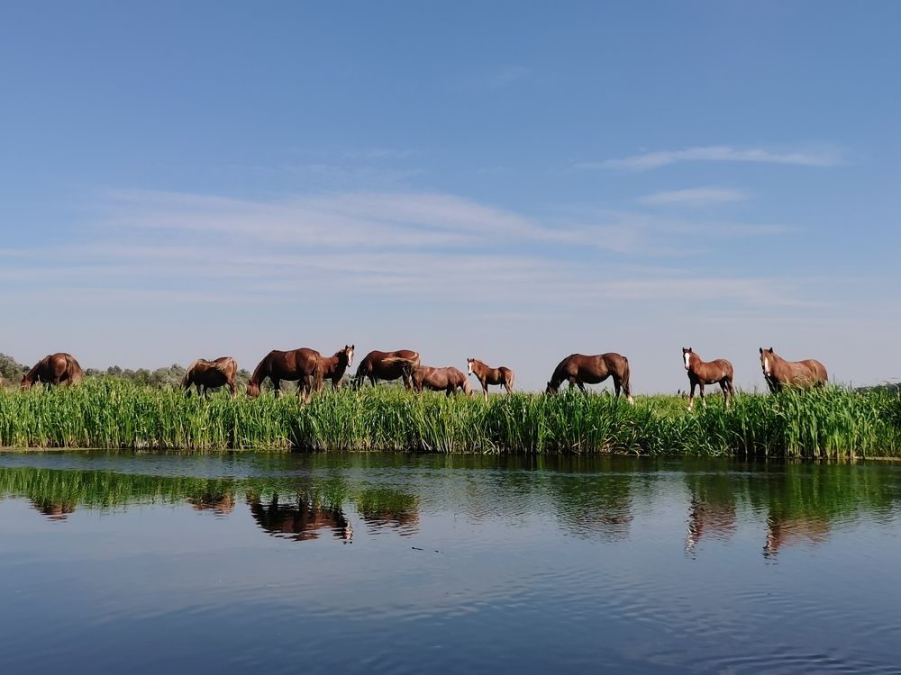 Photograph by Ульяна Рожнова