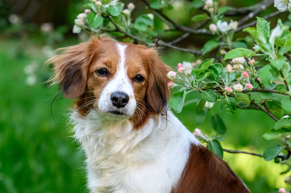 Photograph by Мария Новоселецкая