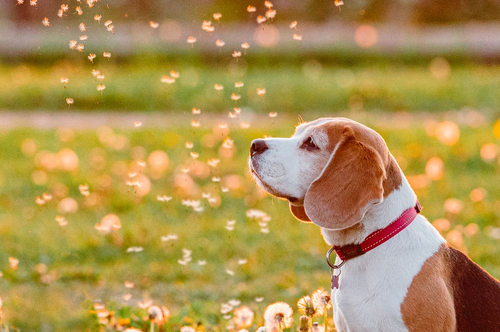 Photograph by Мария Новоселецкая