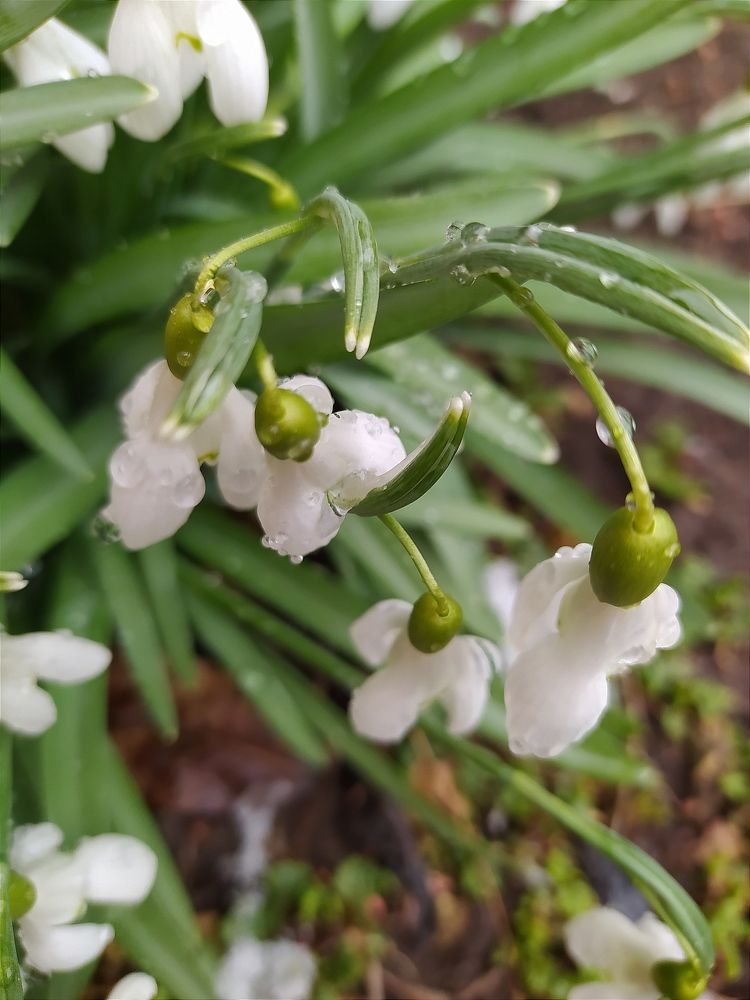 Photograph by Maryna Kukhtsikava