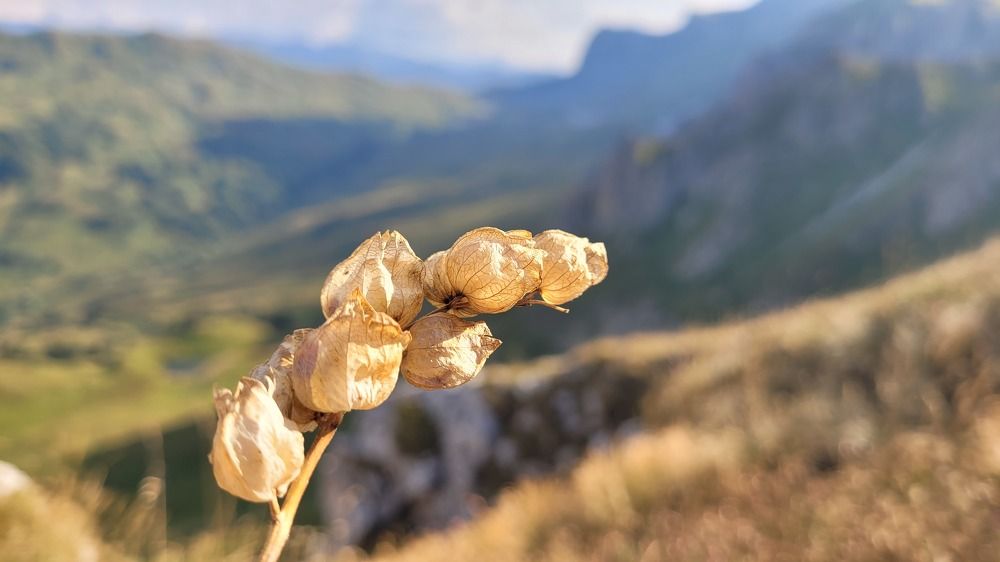 Photograph by Дерезюк Юрий Александрович