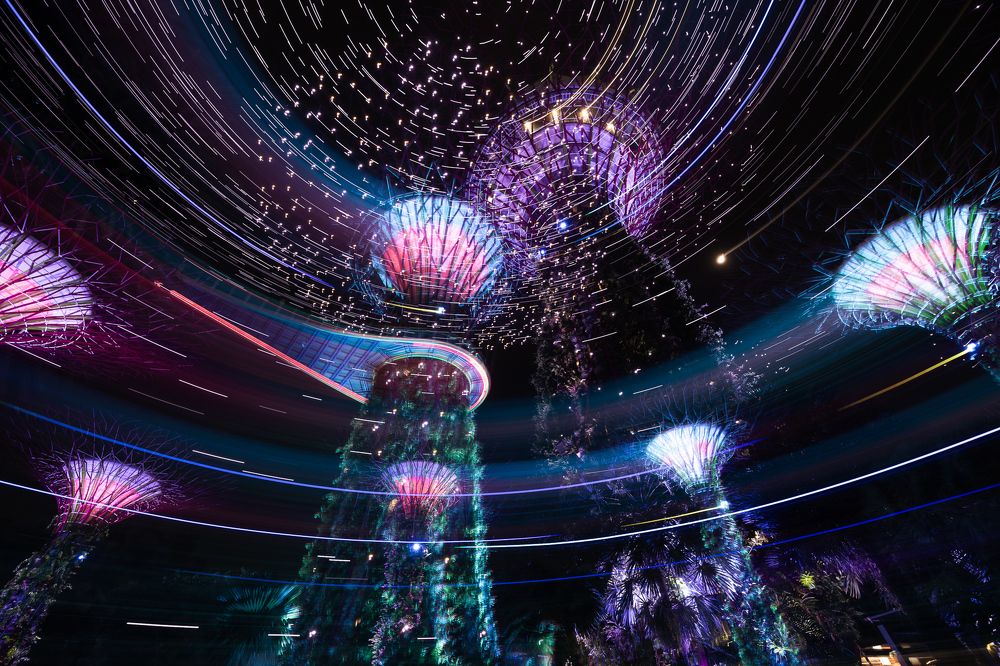 Photograph by Maximilian Kafanke