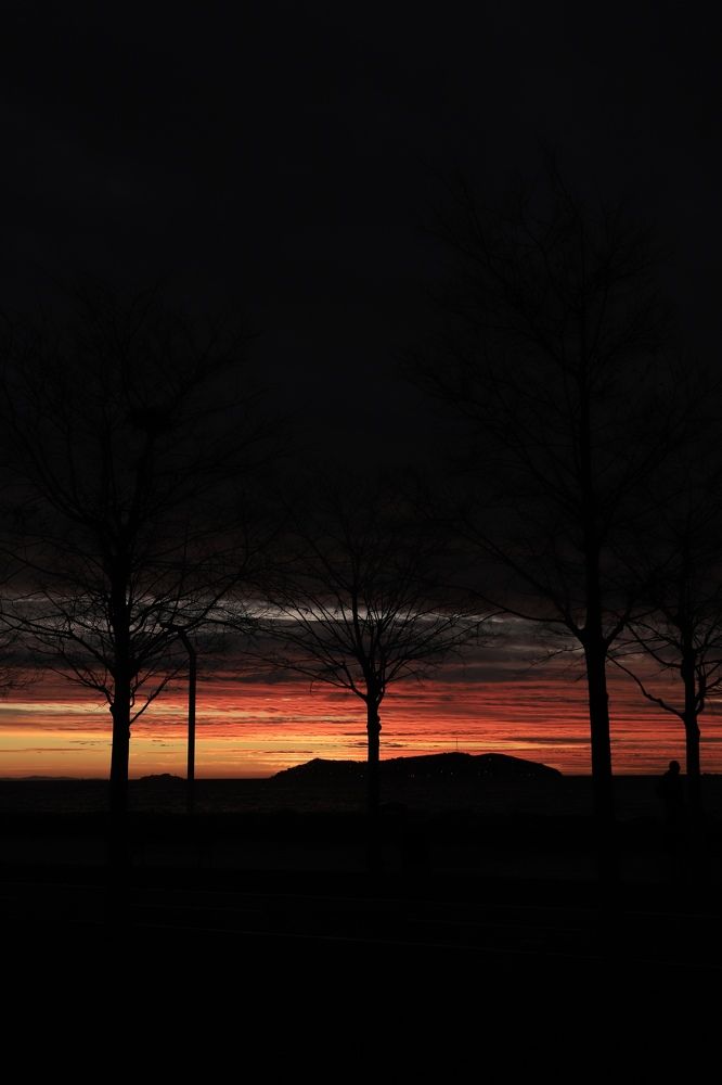 Фотография автора Sadaf Sadeghi