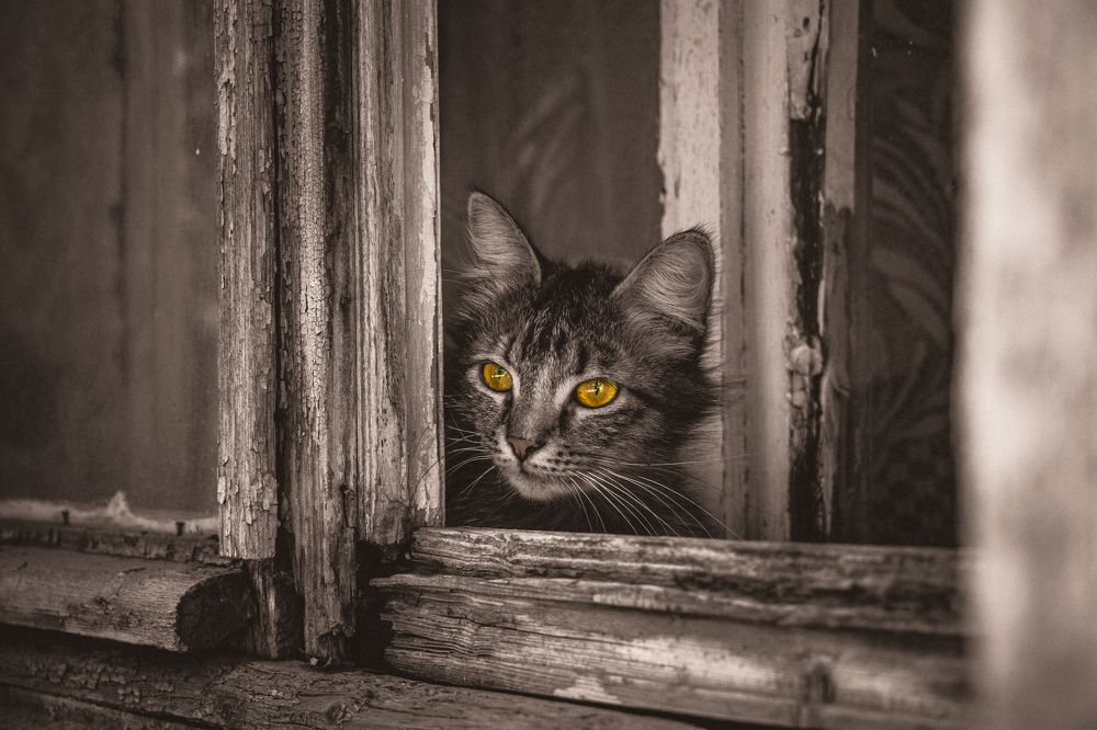 Photograph by Софья Зенина