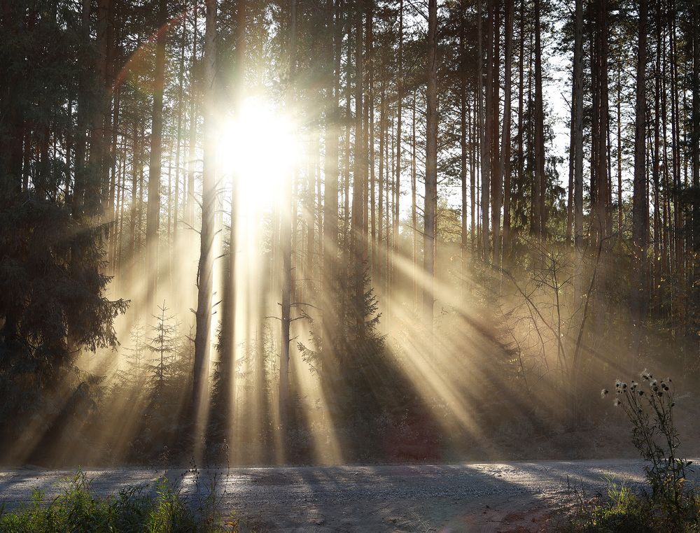 Photograph by Олег Фокин