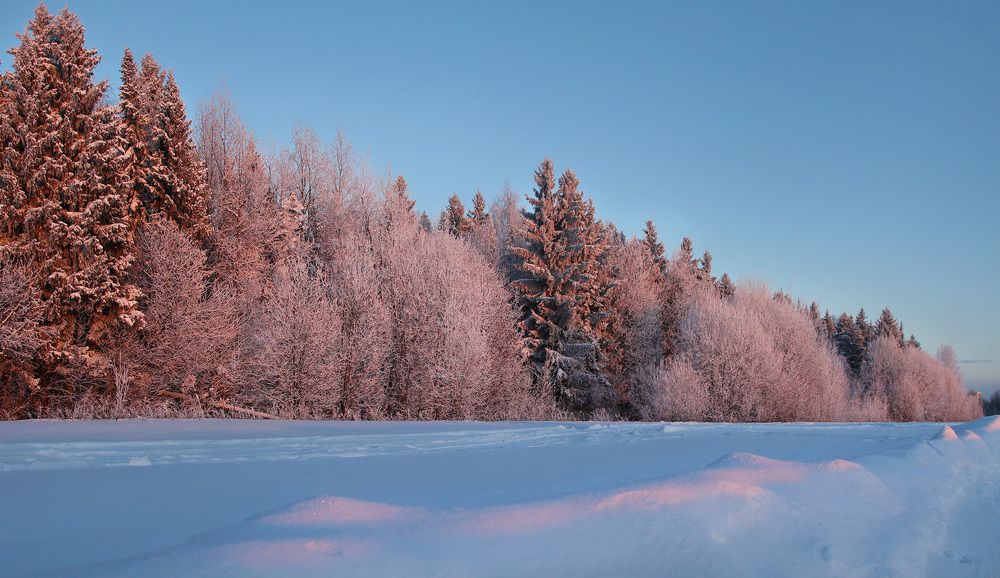 Photograph by Олег Фокин