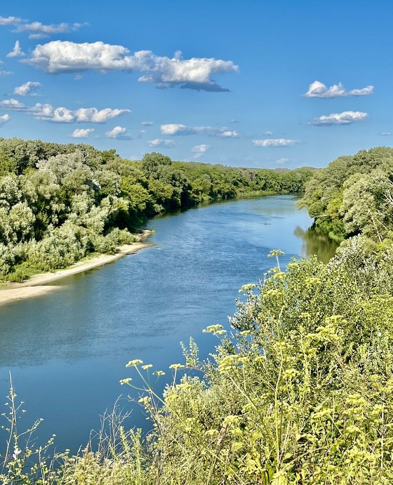Фотография автора Елена Чиликина