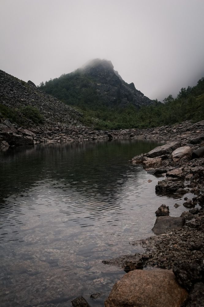 Photograph by Катя Цвет