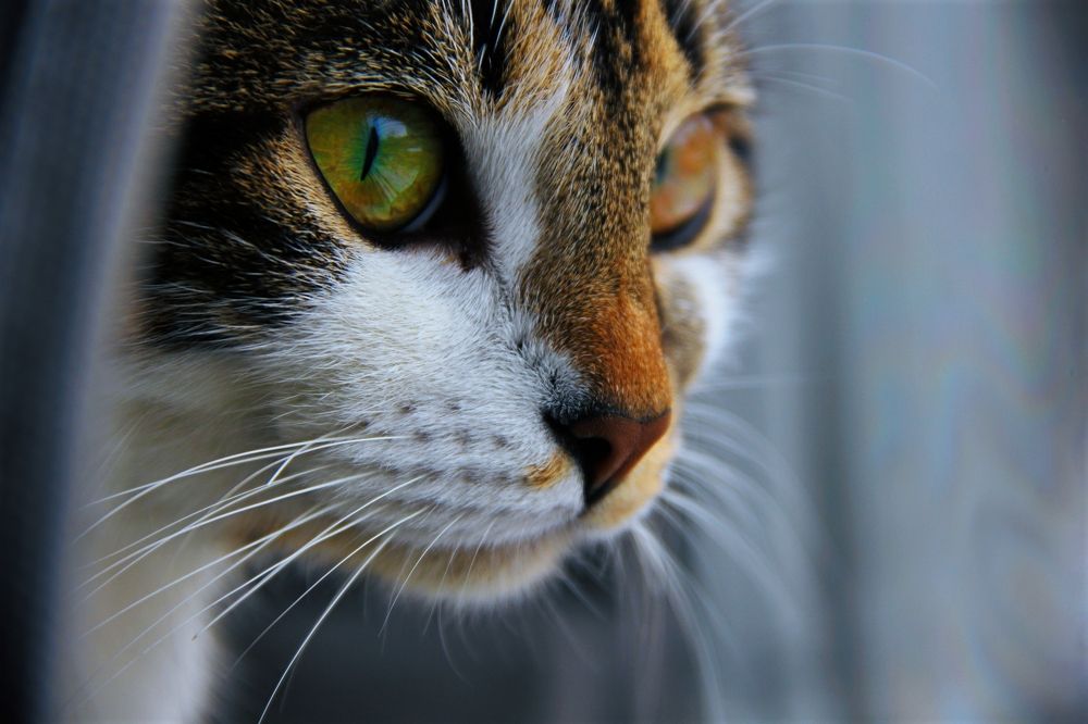 Photograph by Анна Любимова