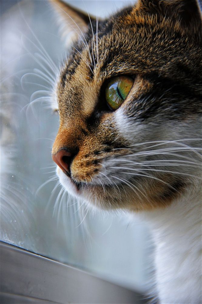 Photograph by Анна Любимова