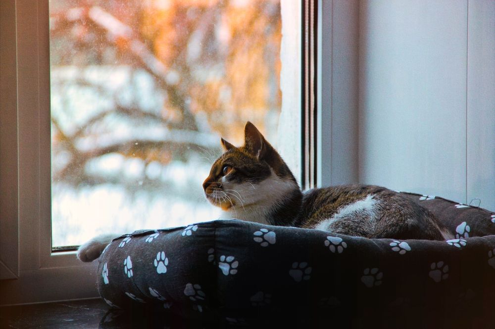 Photograph by Анна Любимова