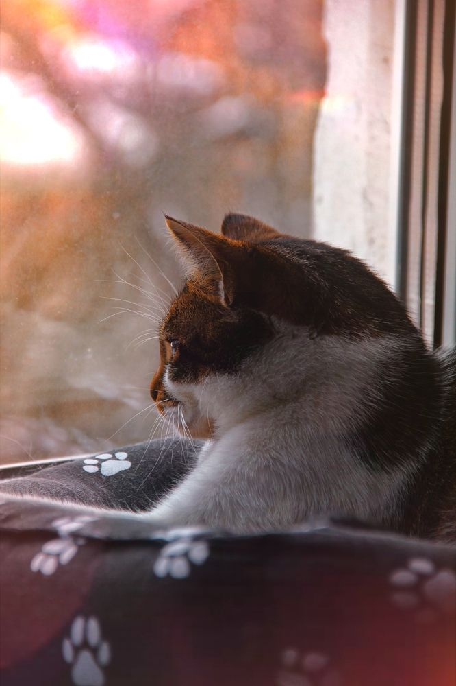 Photograph by Анна Любимова