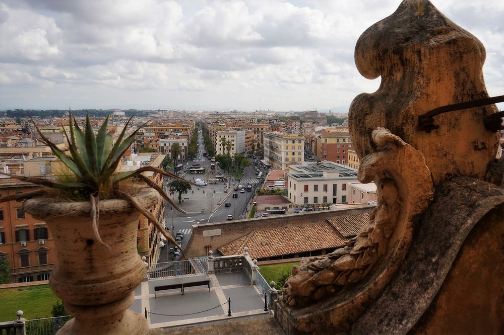 Photograph by Liliana Grup