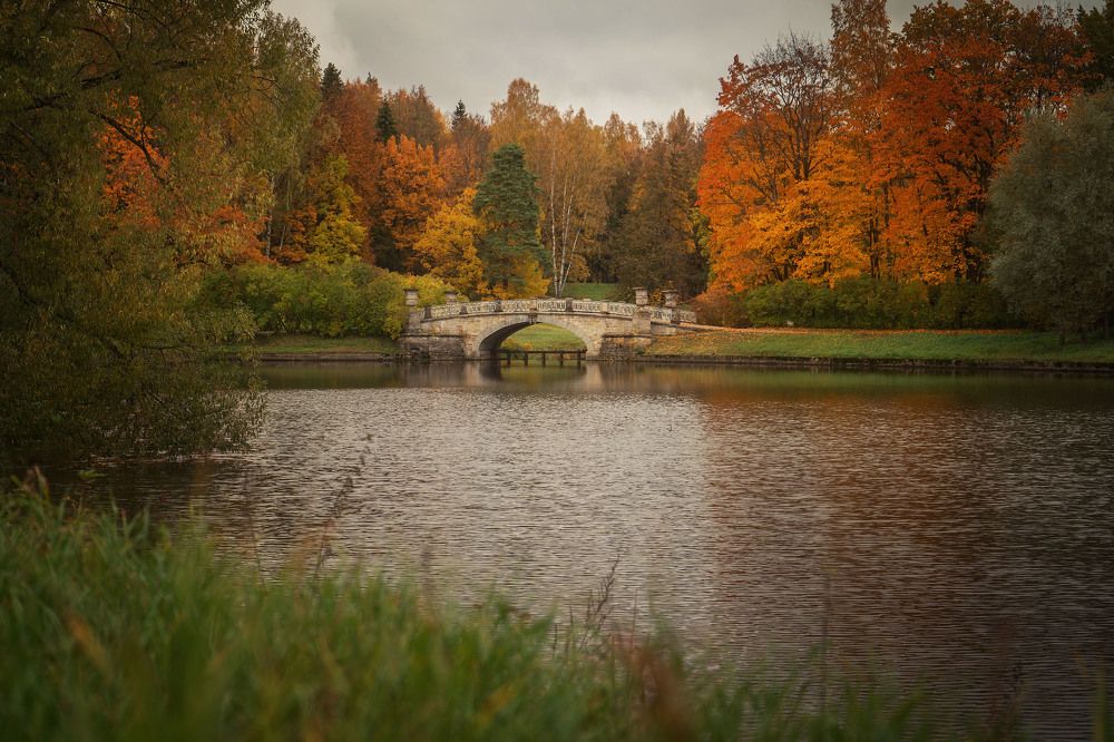 Photograph by Алена