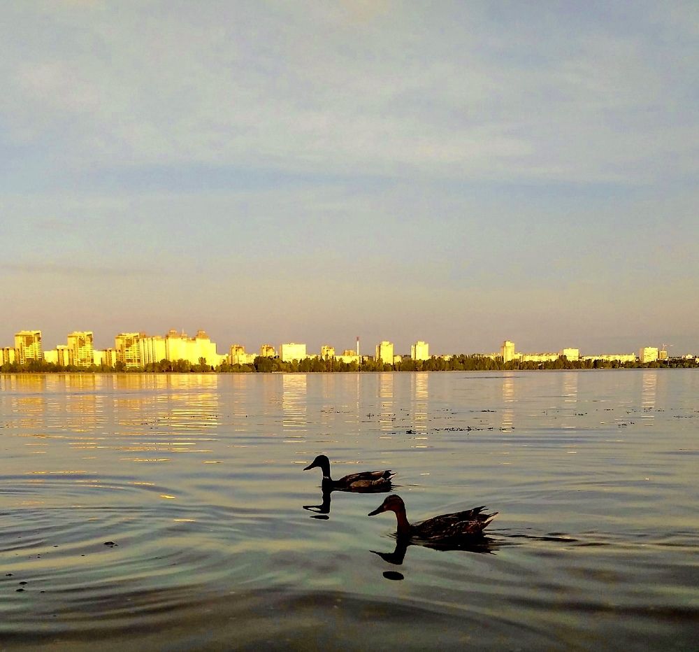 Фотография автора Елена Чиликина