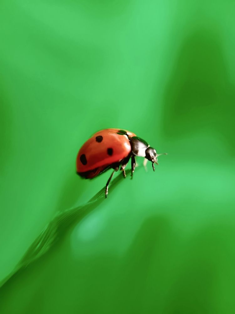 Photograph by Наталья Шумилова