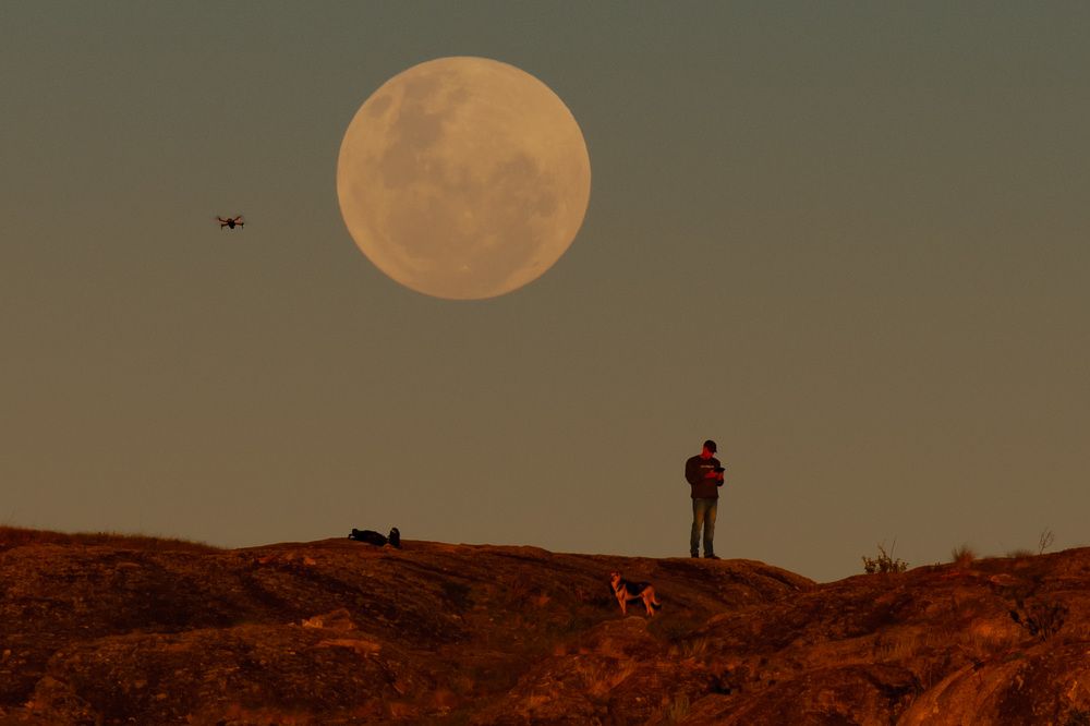 Photograph by Valmir Fernando da Silva