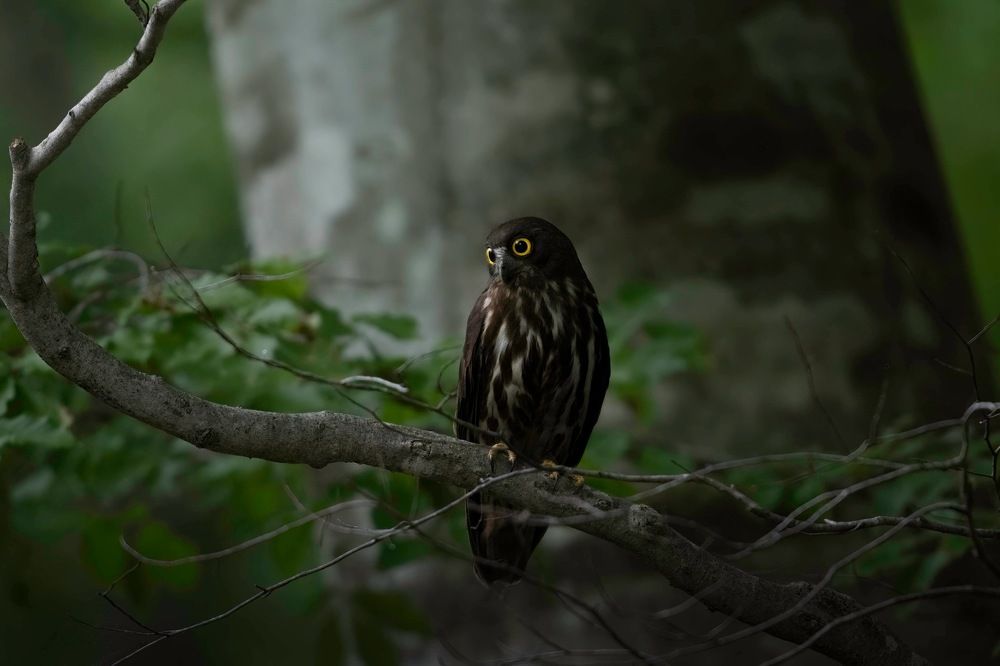 Photograph by Hiroki Matsubara