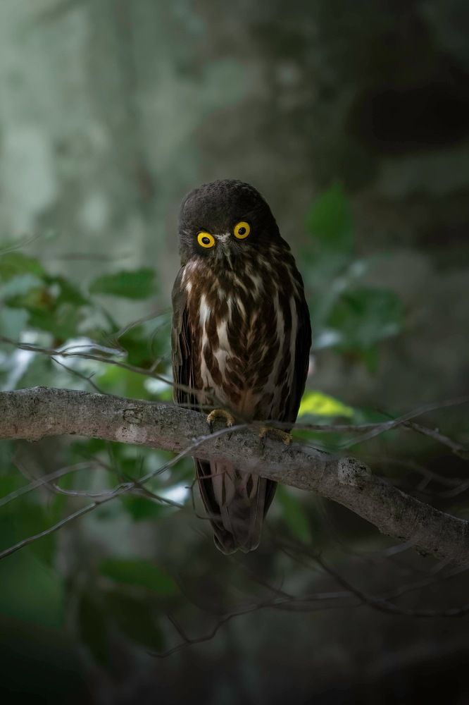 Photograph by Hiroki Matsubara