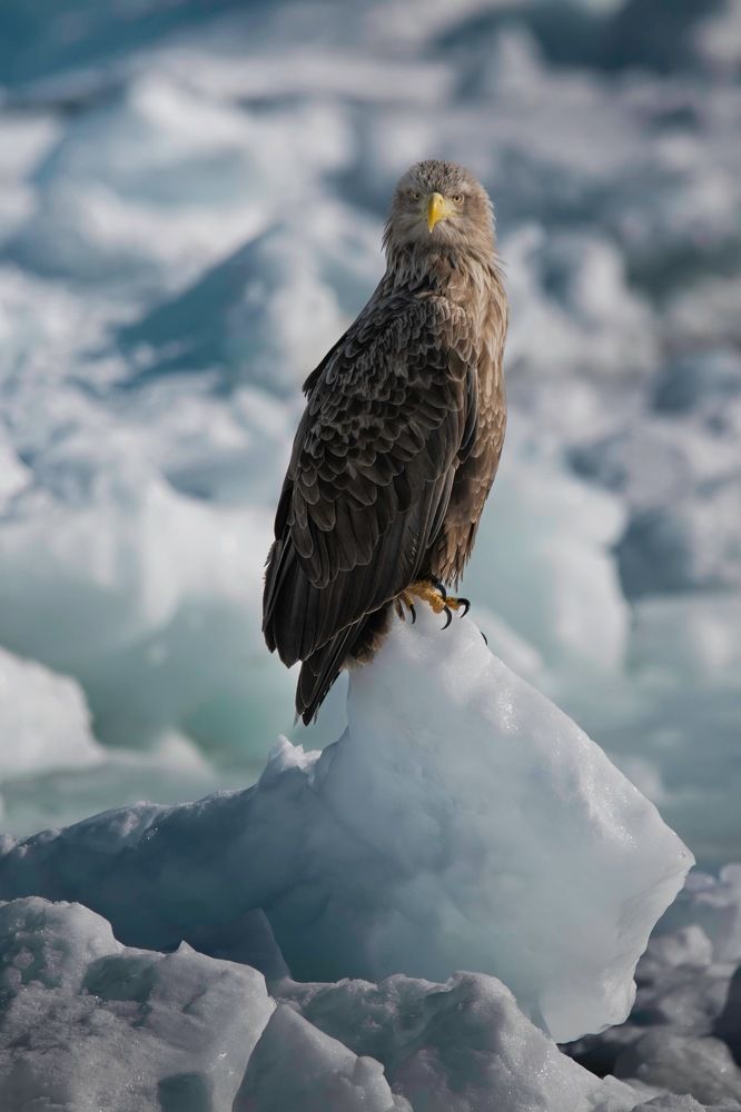 Photograph by Hiroki Matsubara