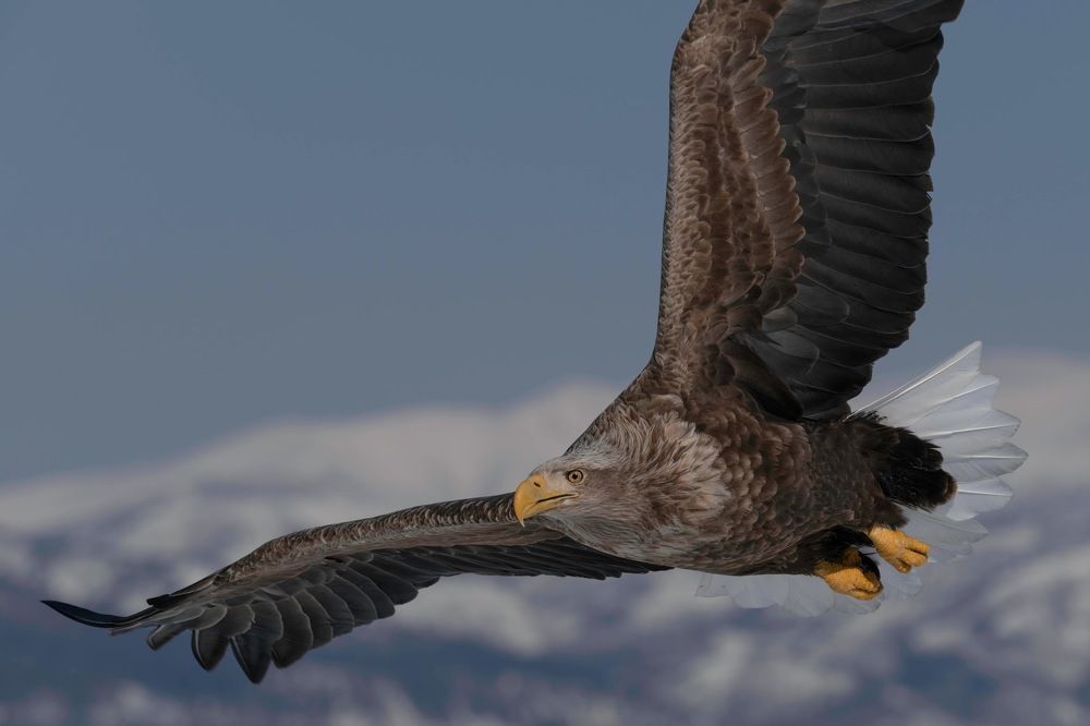 Photograph by Hiroki Matsubara