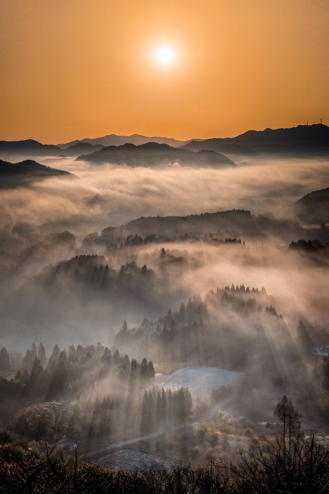 Photograph by Hiroki Matsubara