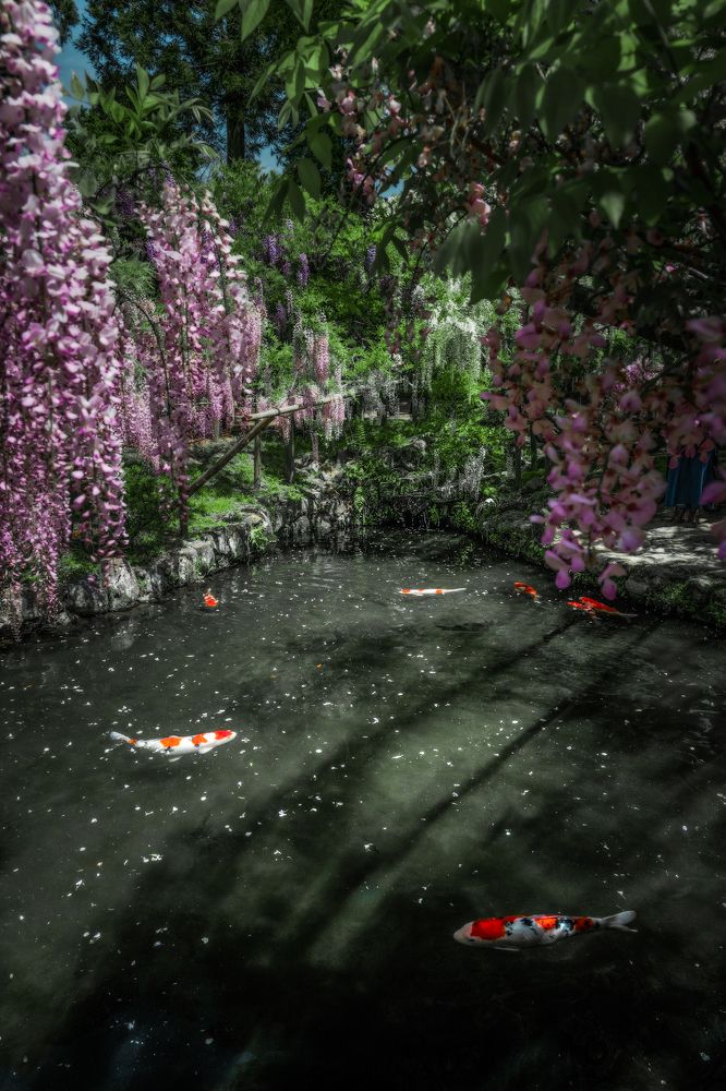 Photograph by Hiroki Matsubara