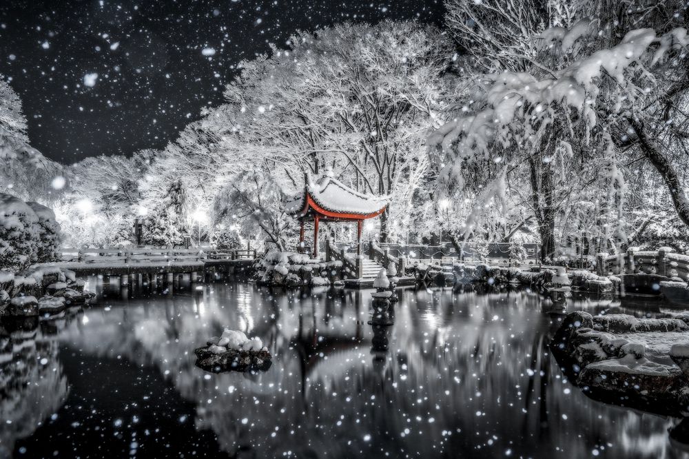 Photograph by Hiroki Matsubara