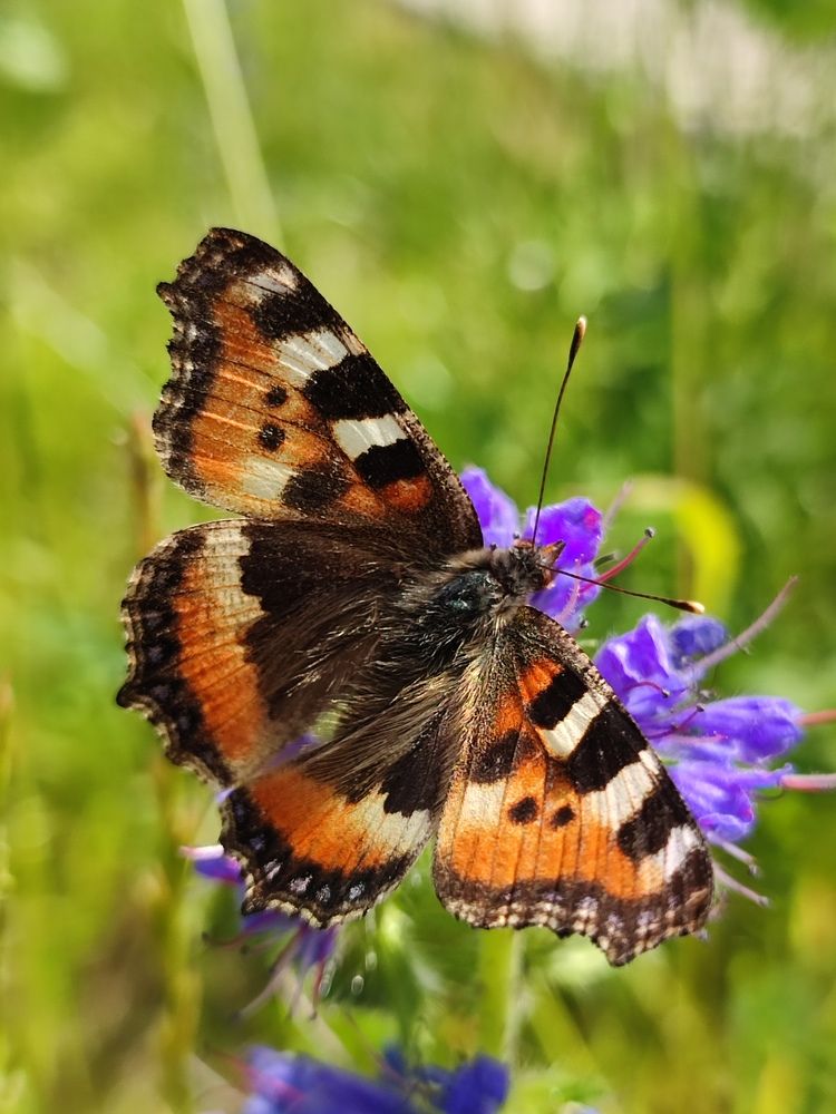 Photograph by Лолита Богачева