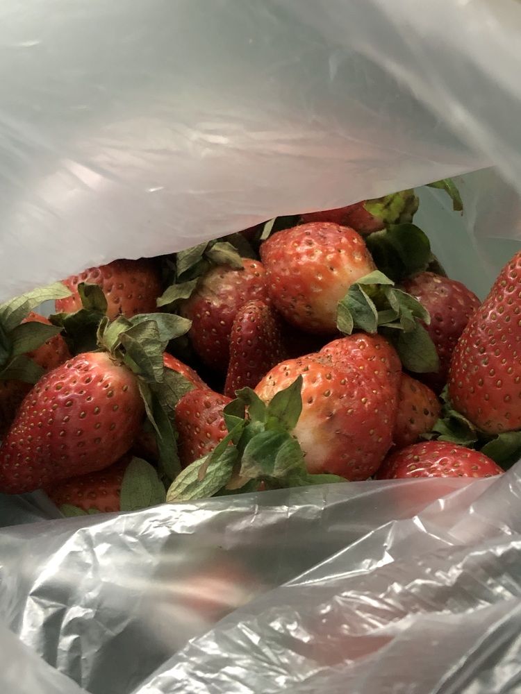 Strawberries