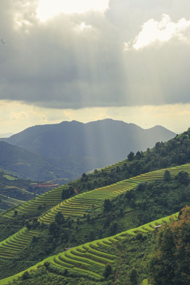 Photograph by Thị Trung Anh Do