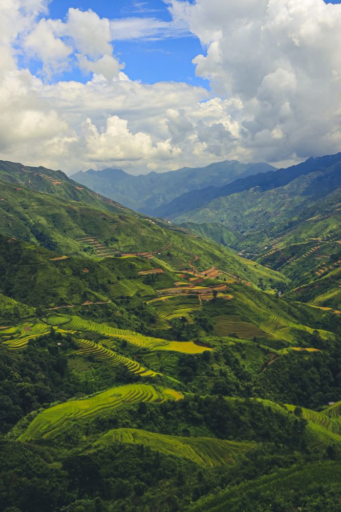 Photograph by Thị Trung Anh Do