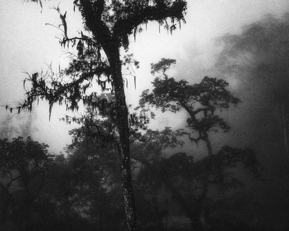 Photograph by John Paul Qku