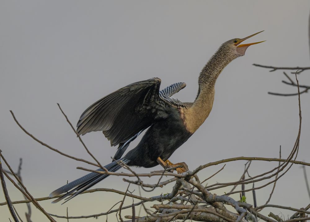 Photograph by Alberto Camardiel