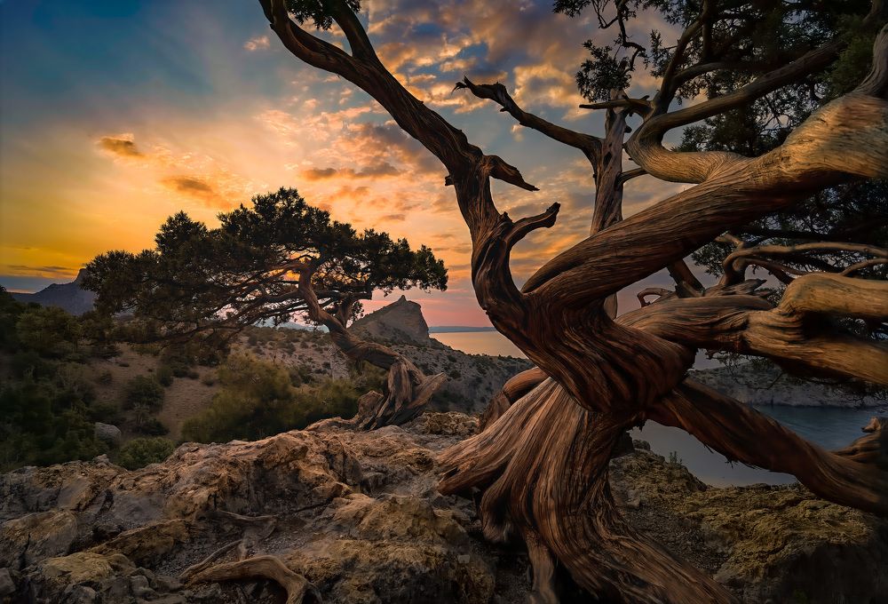 Photograph by Александр Разумов