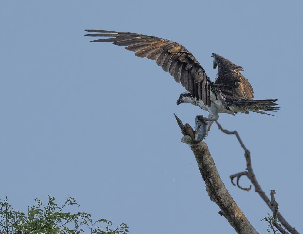 Photograph by Alberto Camardiel