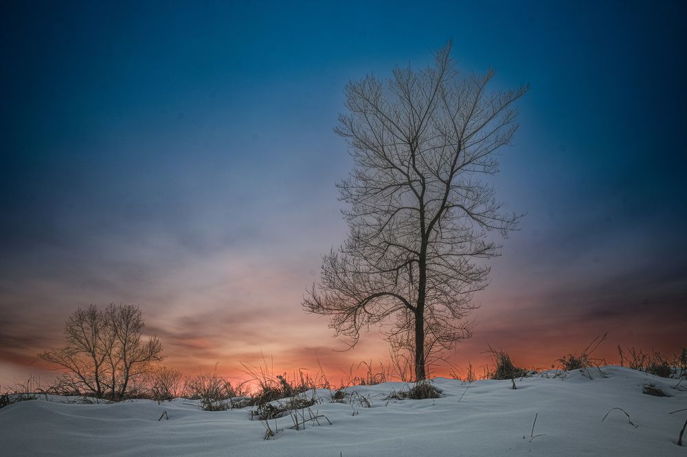 Photograph by Kostantin Belonogov