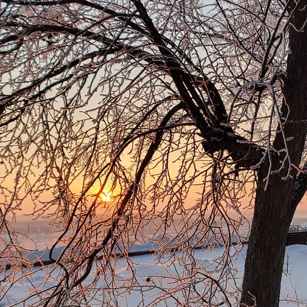 Photograph by Елена Донская