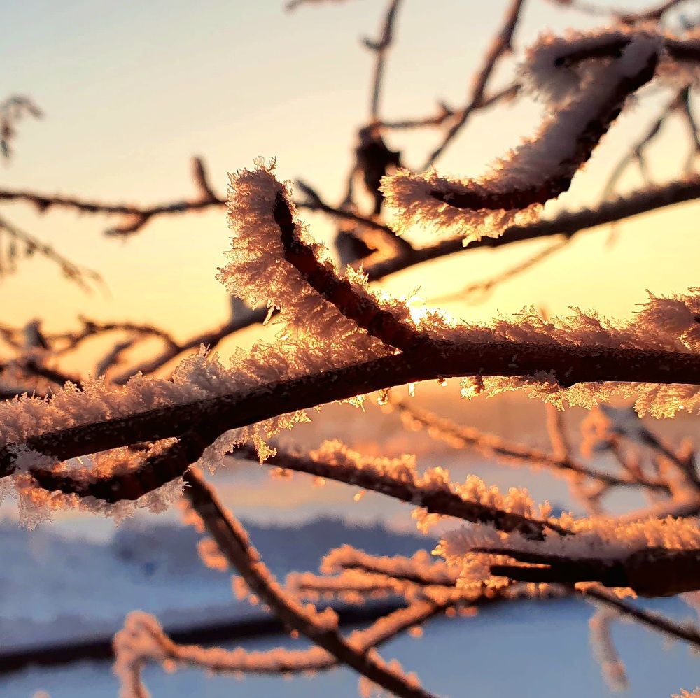 Photograph by Елена Донская