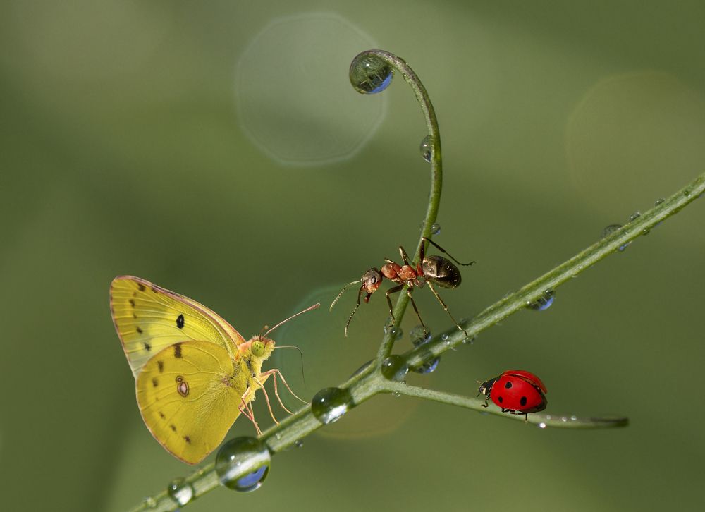 Фотография автора Andrey Pristyazhnyuk