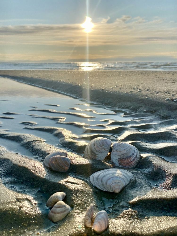 Photograph by Ирина Коваль