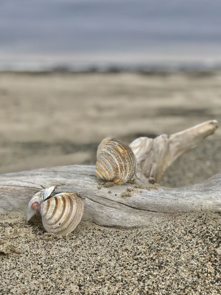 Photograph by Ирина Коваль