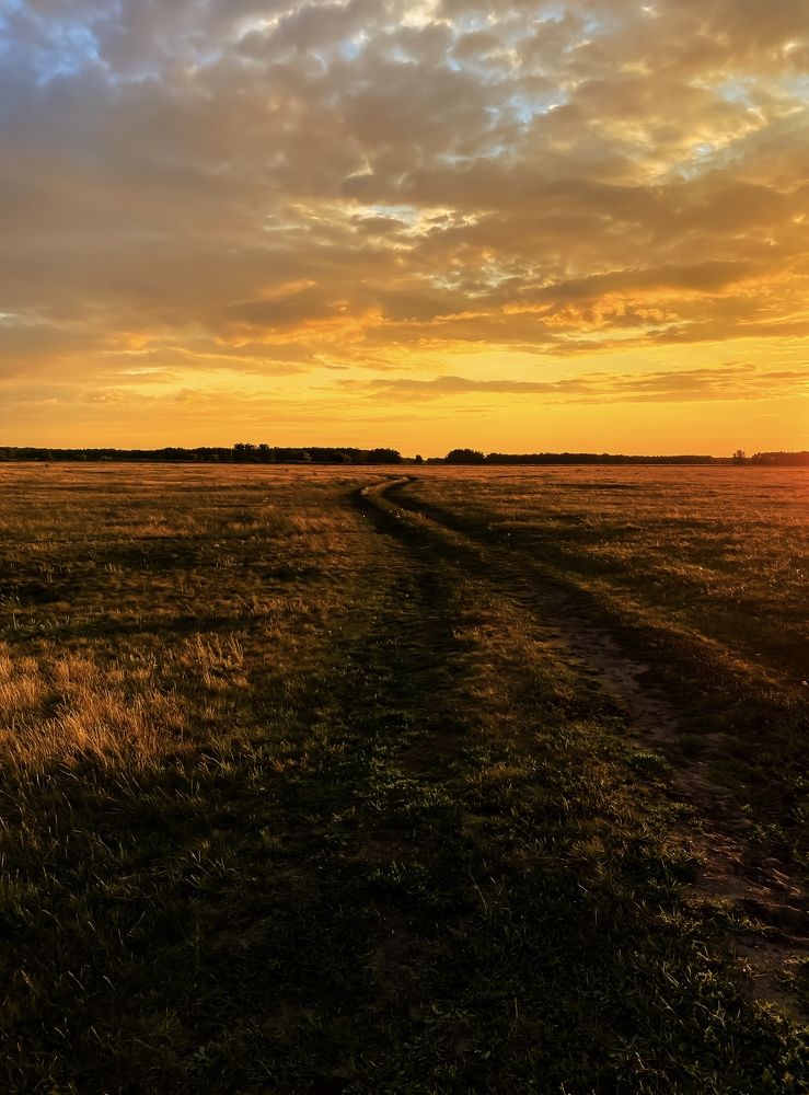 Фотография автора Ольга Артковская