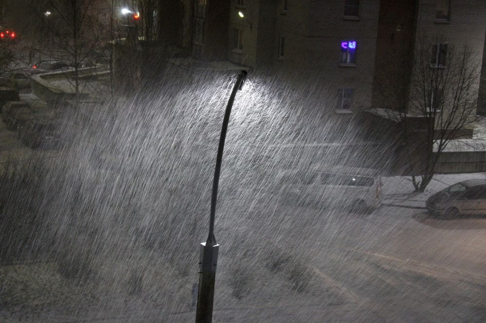 Photograph by Olga Bagaeva