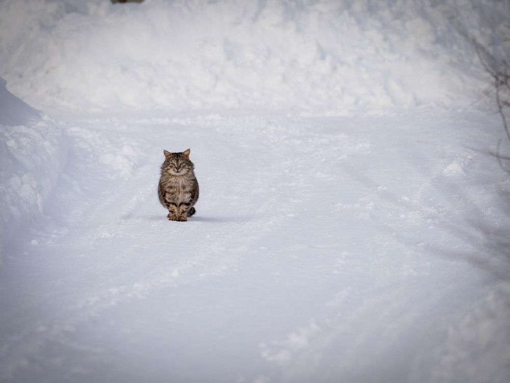 Photograph by Ignatov Yury