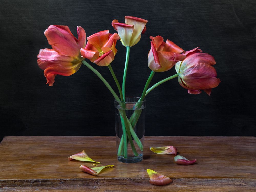 Photograph by Сергей Алексеев